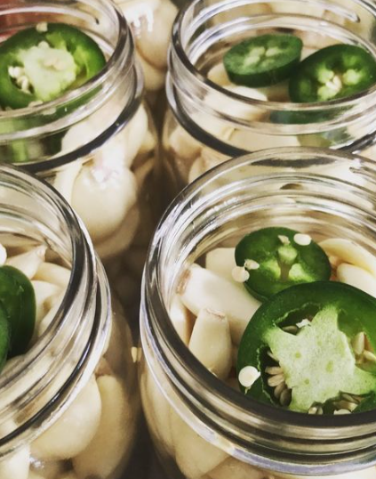 Pickled Garlic Cloves handcrafted in Palmer, Alaska