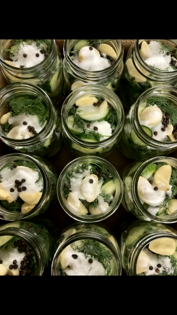 Pint Jar of Garlic Pickle Chips handcrafted in Palmer, Alaska