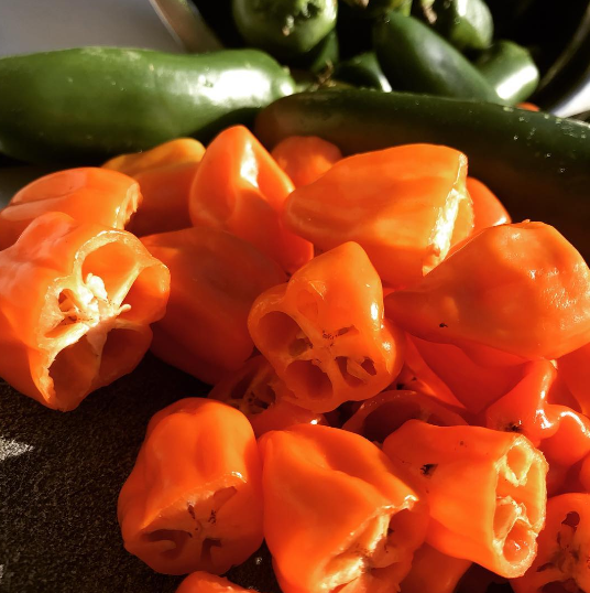 Spicy Pickled Pepper Mix handcrafted in Palmer, Alaska